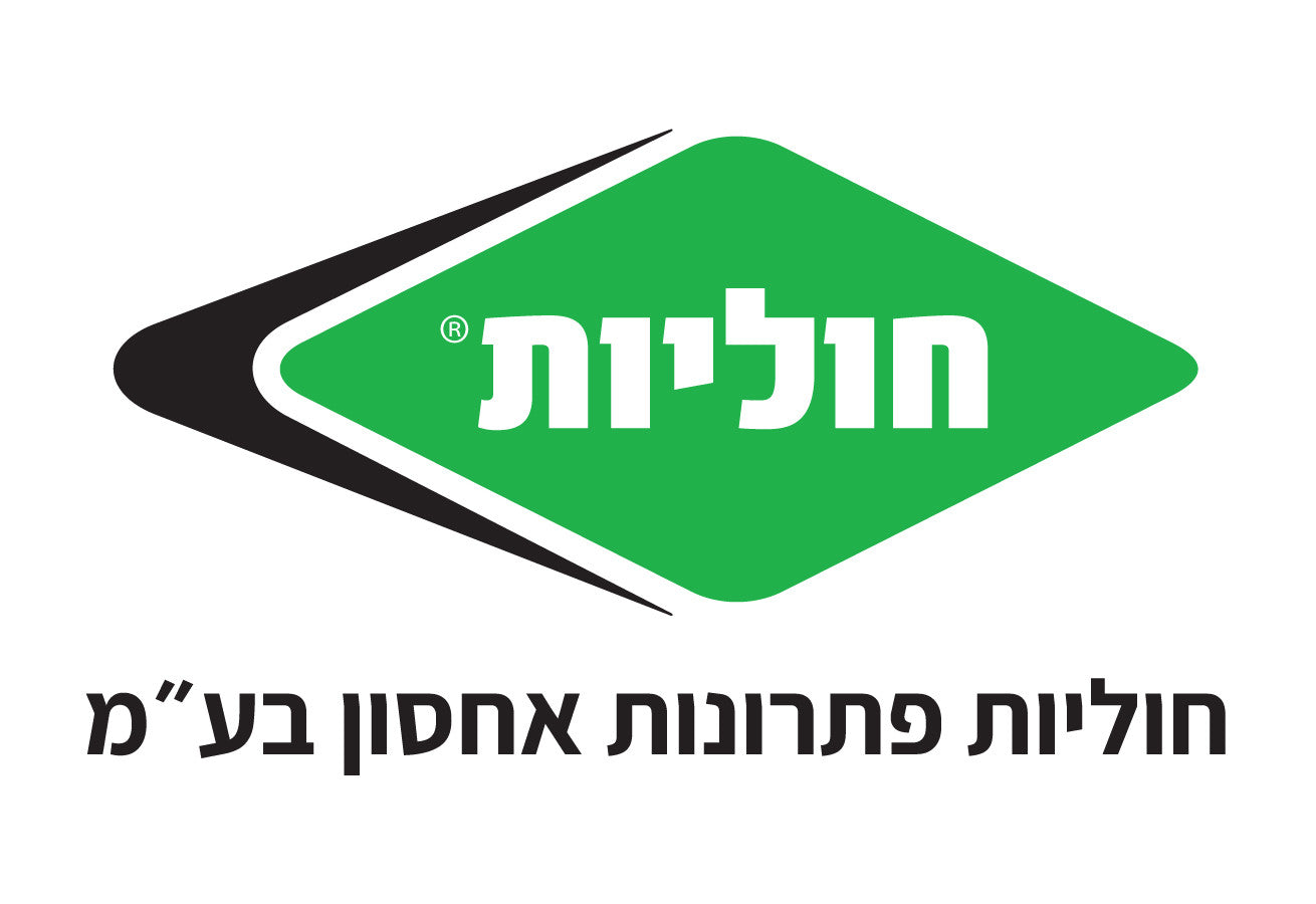 חוליות
